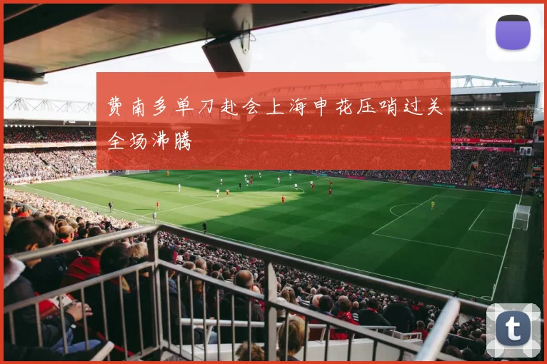 费南多单刀赴会上海申花压哨过关全场沸腾