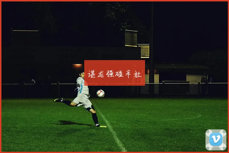 谌龙强碰辛杜