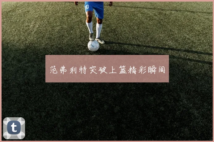 范弗利特突破上篮精彩瞬间