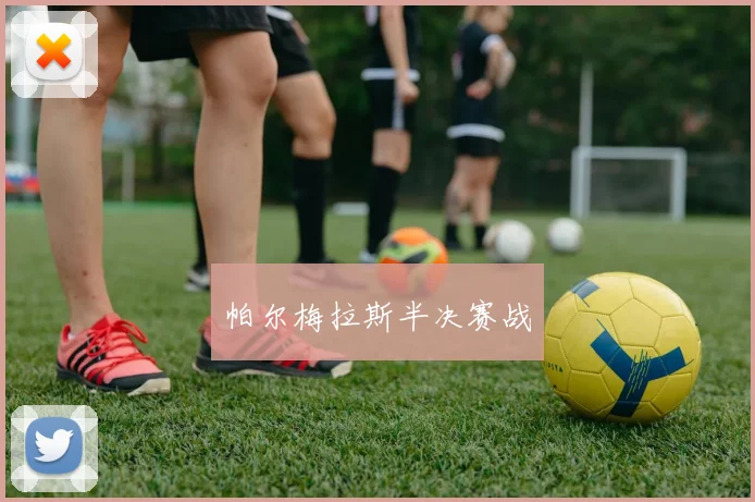帕尔梅拉斯半决赛战
