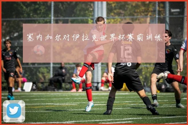 塞内加尔对伊拉克世界杯赛前训练