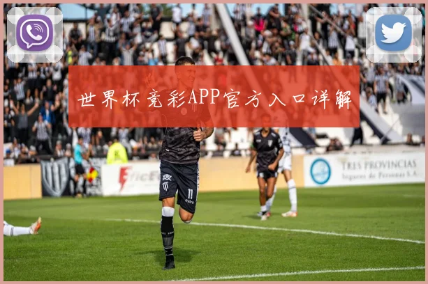 世界杯竞彩APP官方入口详解