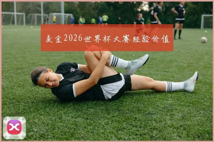 麦金2026世界杯大赛经验价值